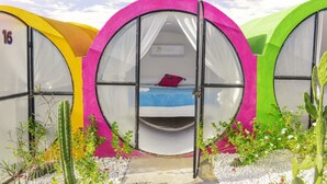 Drie kleurrijke, ronde tenten met bedden, elk met een eigen unieke kleur.