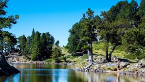 Un cadre paisible au bord d’un lac, avec des arbres et une rive rocheuse.