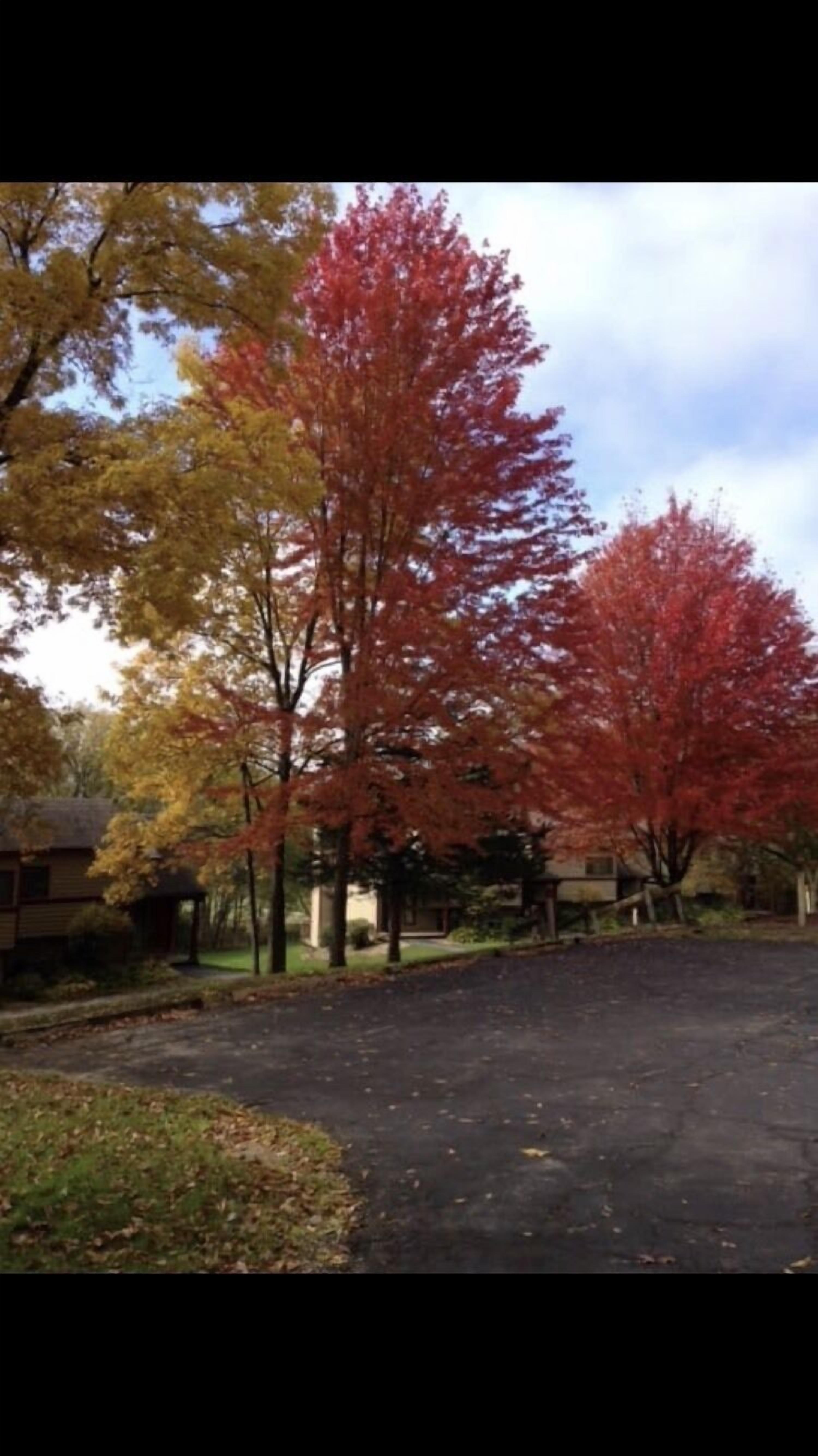 Updated Beautiful Golf Villa! 