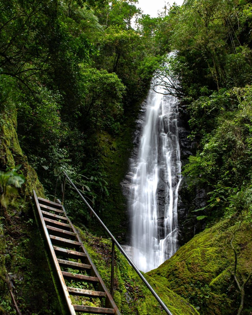 A waterfall with a wooden staircase leading up to it, surrounded by lush greenery.