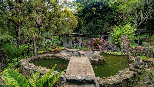 A garden with a pond, stone bridge, and various tropical plants. - Talamanca Nature Reserve (Rivas)