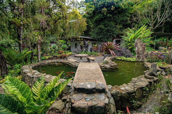 Desk, free WiFi, bed sheets, wheelchair access - Talamanca Nature Reserve (Rivas)