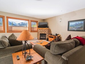 TV, fireplace, DVD player, books