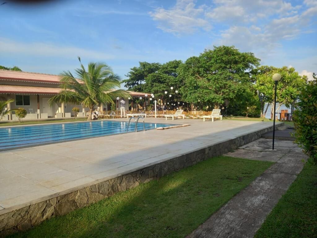 A swimming pool with lounge chairs and a palm tree.