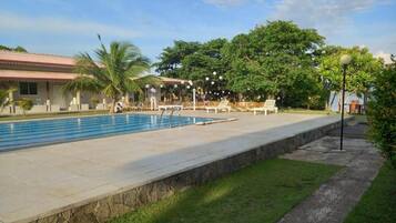 A swimming pool with lounge chairs and a palm tree.