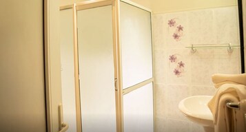 Deluxe Room | Bathroom | Shower, rainfall showerhead, free toiletries, bidet