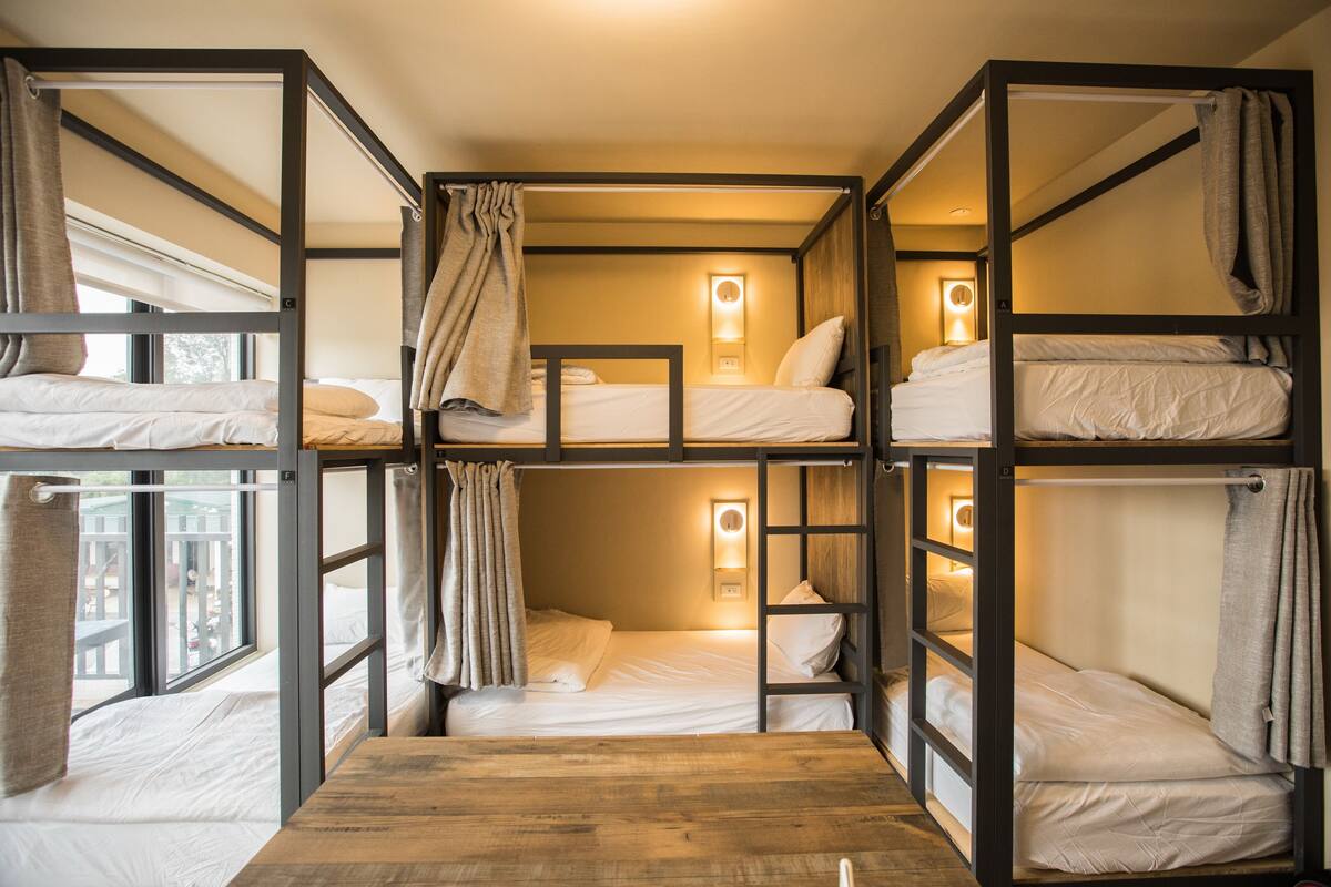 Comfort Shared Dormitory, Mixed Dorm, Patio