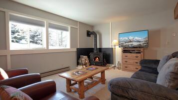 Smart TV, fireplace, books, stereo