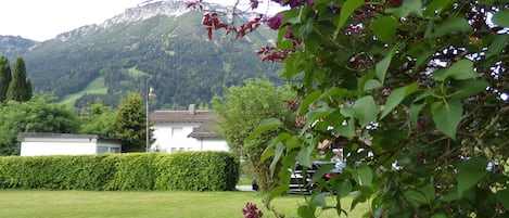 A grassy field with a white building, a hedge, and mountains in the background.