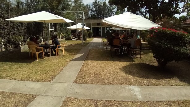 An outdoor patio area with tables and chairs under white umbrellas, surrounded by greenery and a pathway.