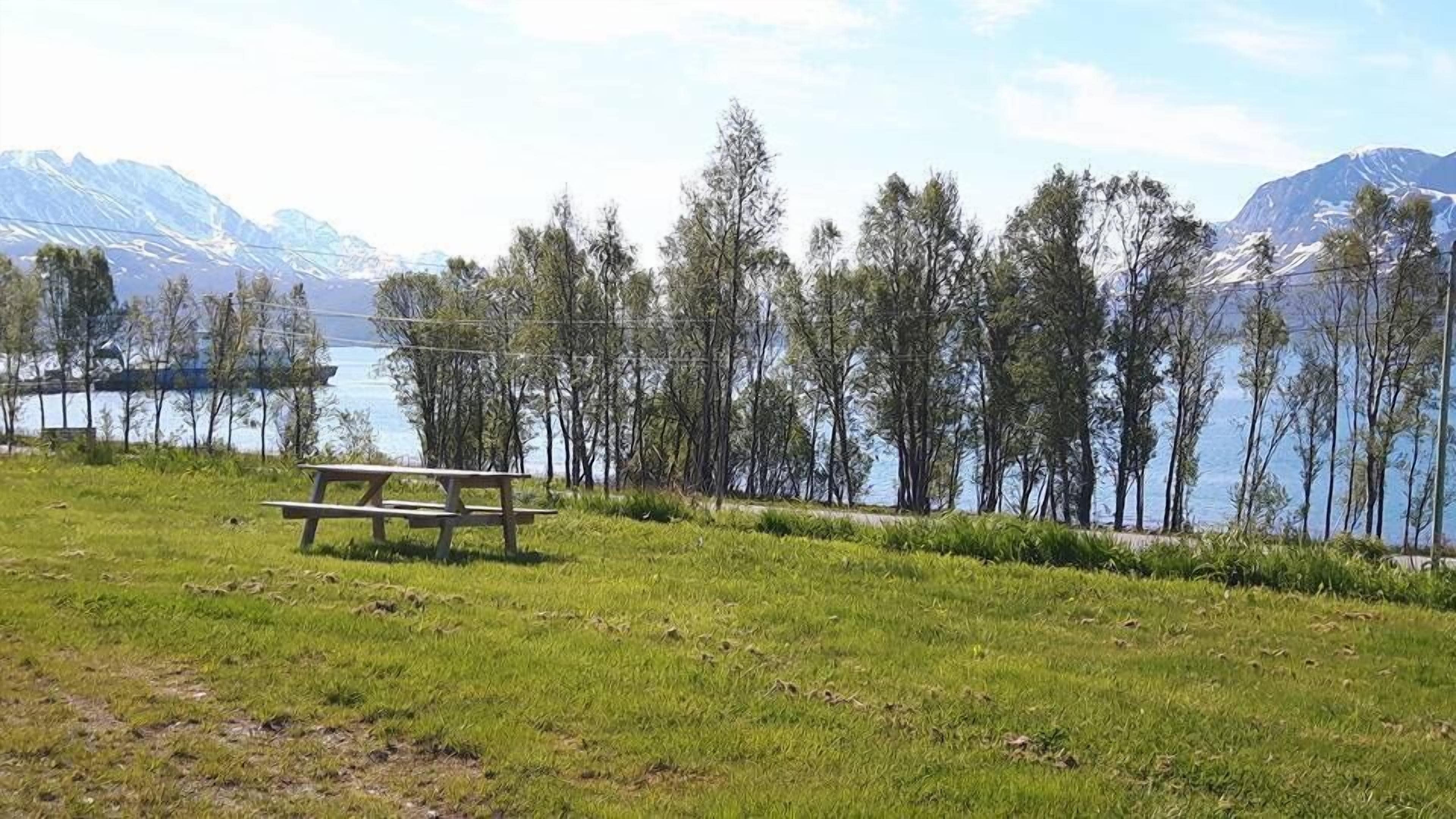 A picnic table in a grassy area with a view of a lake and mountains in the background.