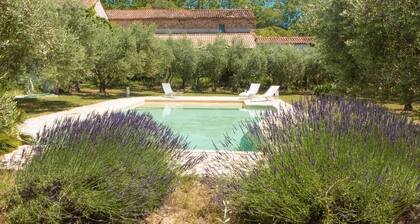 Nice cottage full of charm in a vineyard with large swimming pool