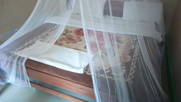 Ein Bett mit einer blumigen Tagesdecke, weißen Kissen und einem weißen Baldachin.