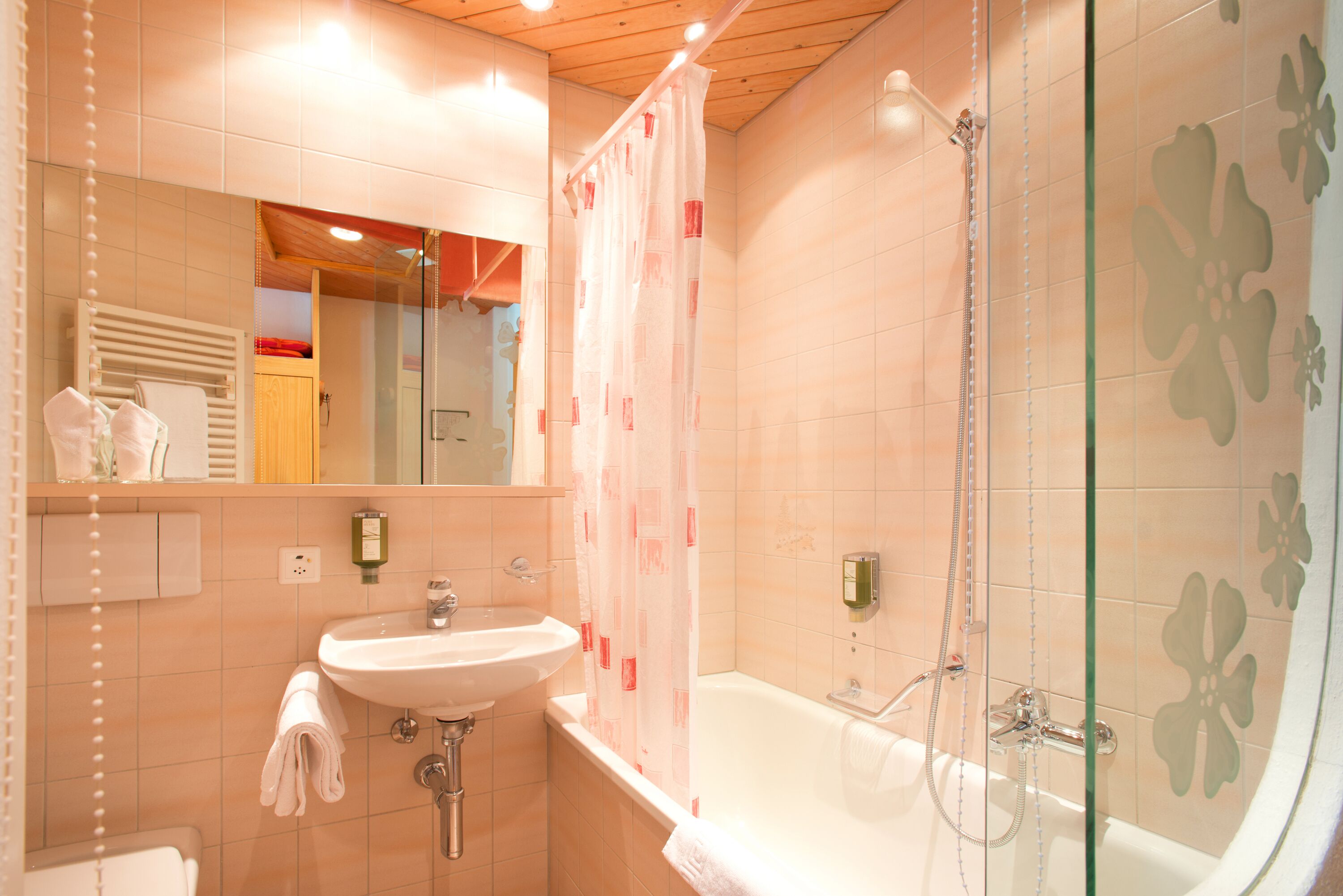 double room, mountain view | bathroom | hair dryer, towels