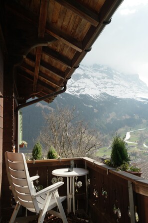 Single room Superior Mountain View | Hypo-allergenic bedding, down comforters, in-room safe, desk - Hotel Sonnenberg (Grindelwald)