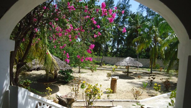 A view through an arched window of a courtyard with a thatched-roof structure, a palm tree, and flowering plants. - Dudu Villas n Cottages (Lamu)