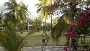 A pathway leading to a building surrounded by palm trees and bougainvillea. - Dudu Villas n Cottages (Lamu)