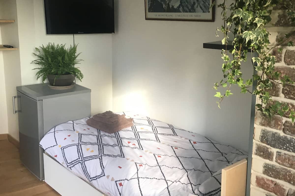 Une chambre à coucher de taille réduite, comprenant un lit, un téléviseur fixé au mur, une plante en pot et un tableau encadré.