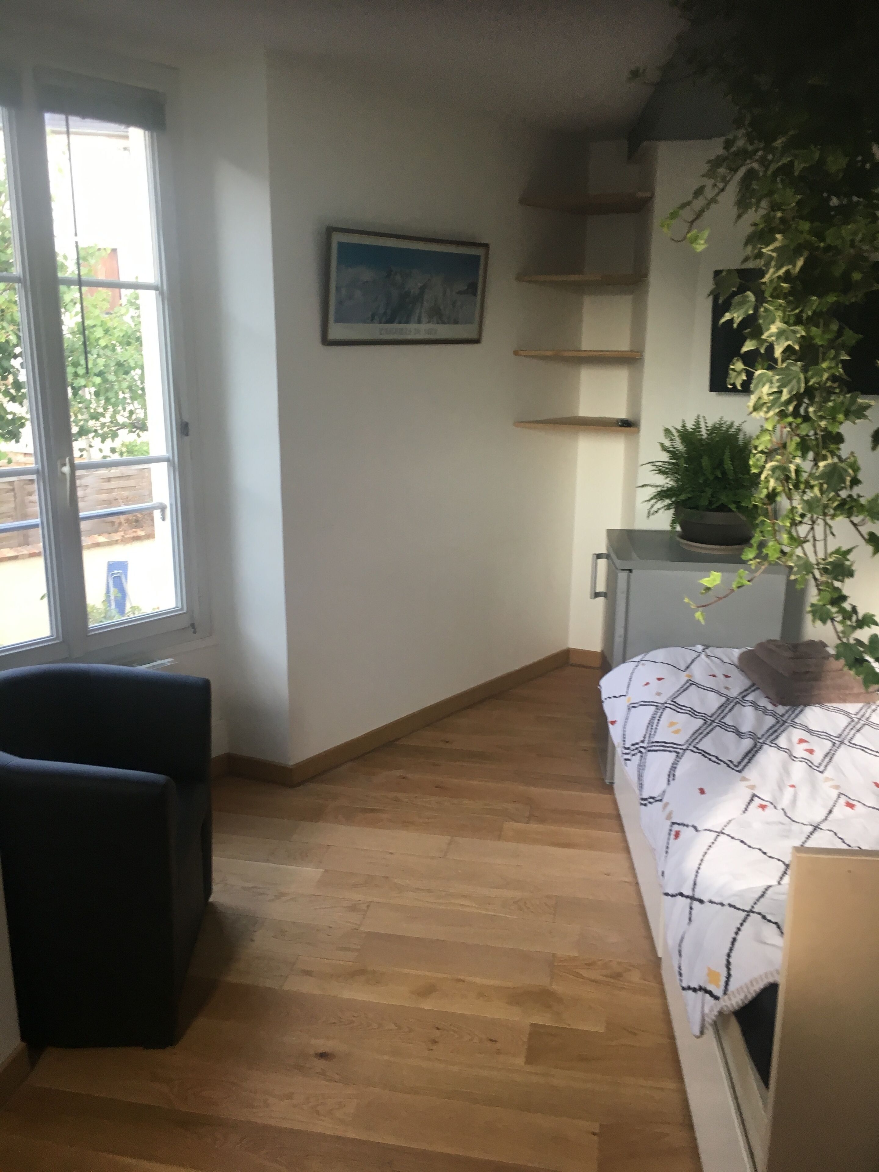 Une pièce comprenant un lit, une chaise, une plante en pot et un tableau accroché au mur.