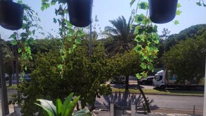 A balcony with hanging planters, a potted plant, and a view of a street with cars and trees. - Come Inn Costa da Caparica (Almada)