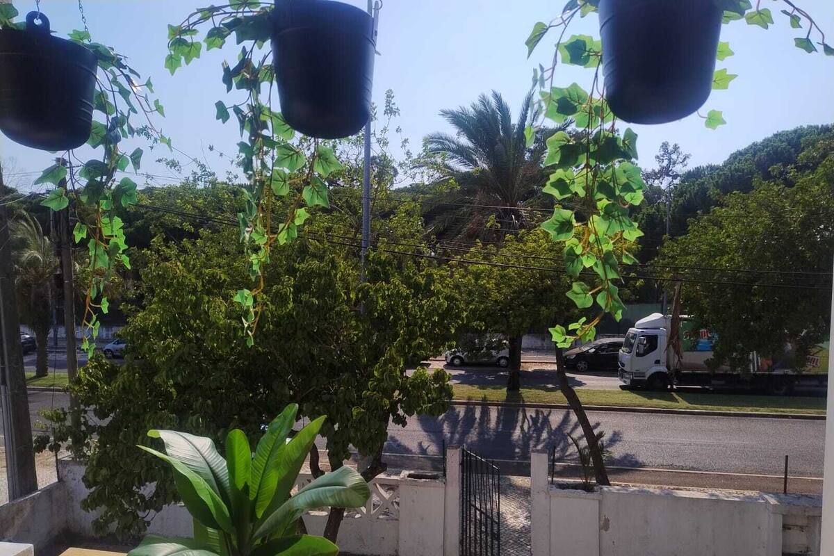 Un balcon agrémenté de jardinières suspendues, d’une plante en pot et offrant une vue sur une rue bordée d’arbres et où circulent des voitures.