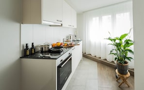 Private kitchenette - Riverside Apartments by Lucerne Holidays (Lucerne)