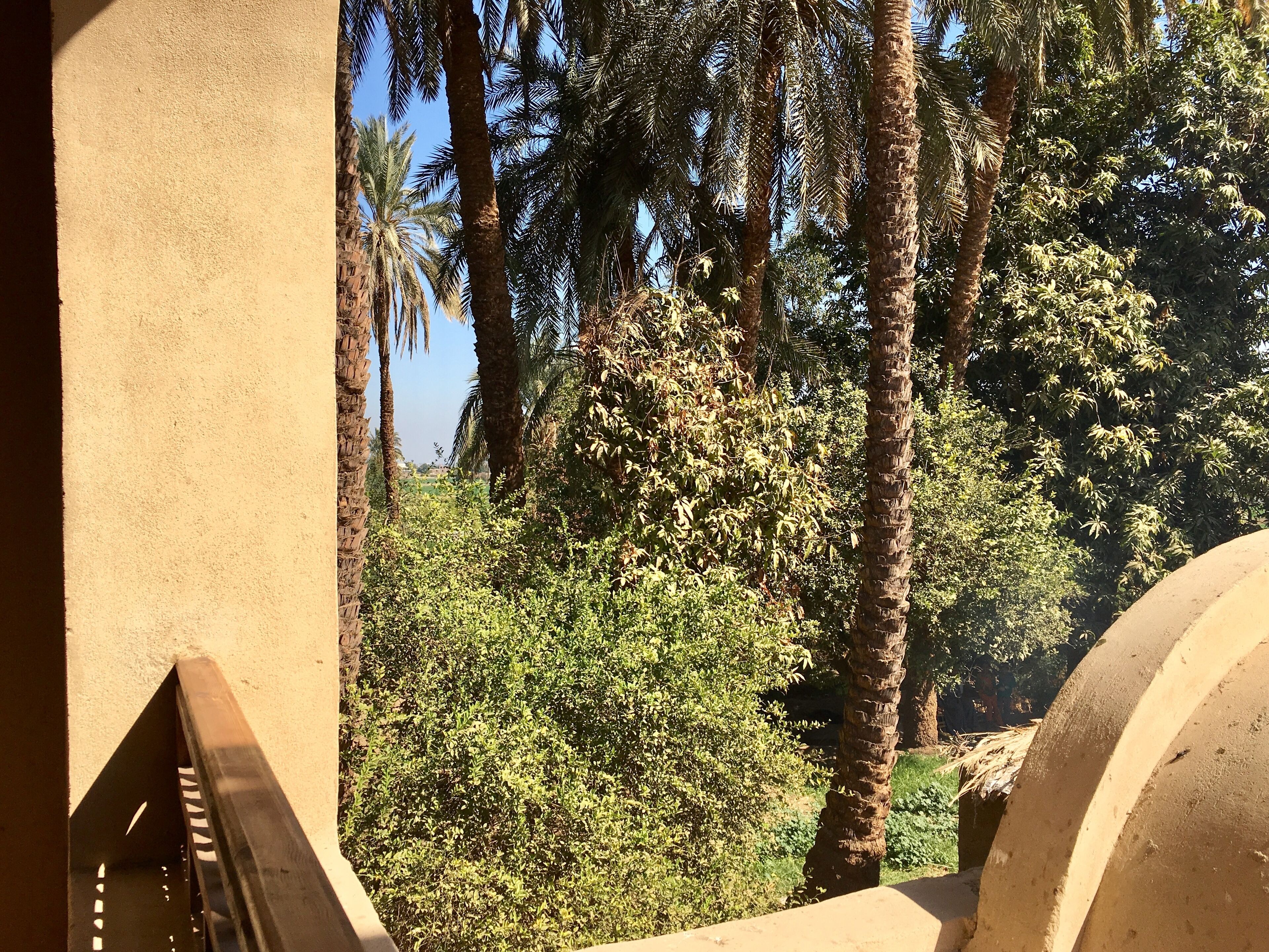 Vista de un edificio con fachada de concreto y un balcón que da a un jardín con palmeras y otra vegetación.