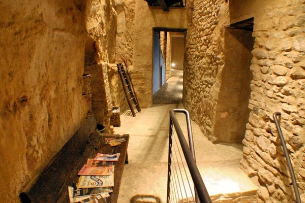 Hair dryer, bidet, towels, soap