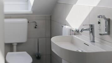 A modern bathroom with a skylight, a toilet, a sink, and a mirror.