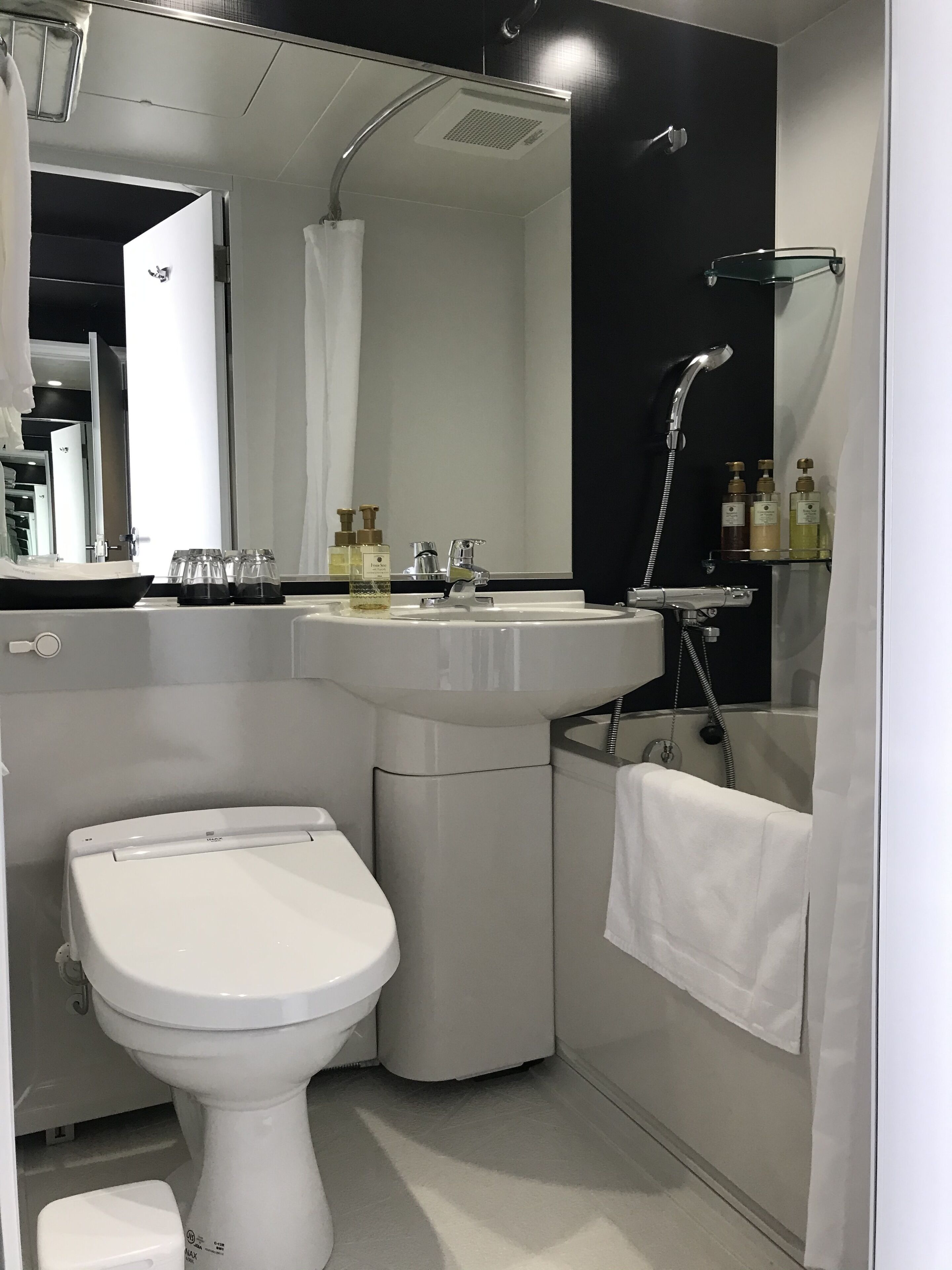 combined shower/bathtub, free toiletries, slippers, bidet