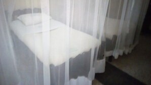 A room with a bed covered by a sheer white curtain.