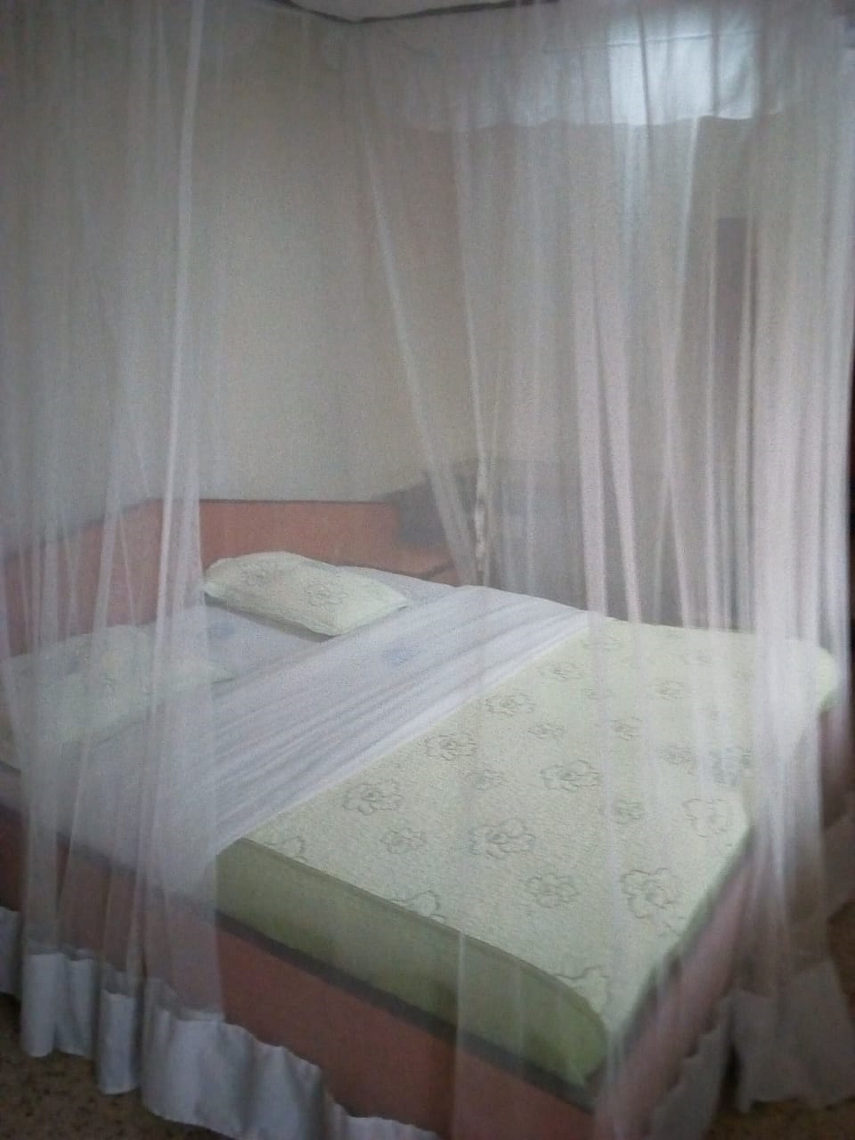 A bed with a mosquito net, a pillow, and a patterned bedspread.