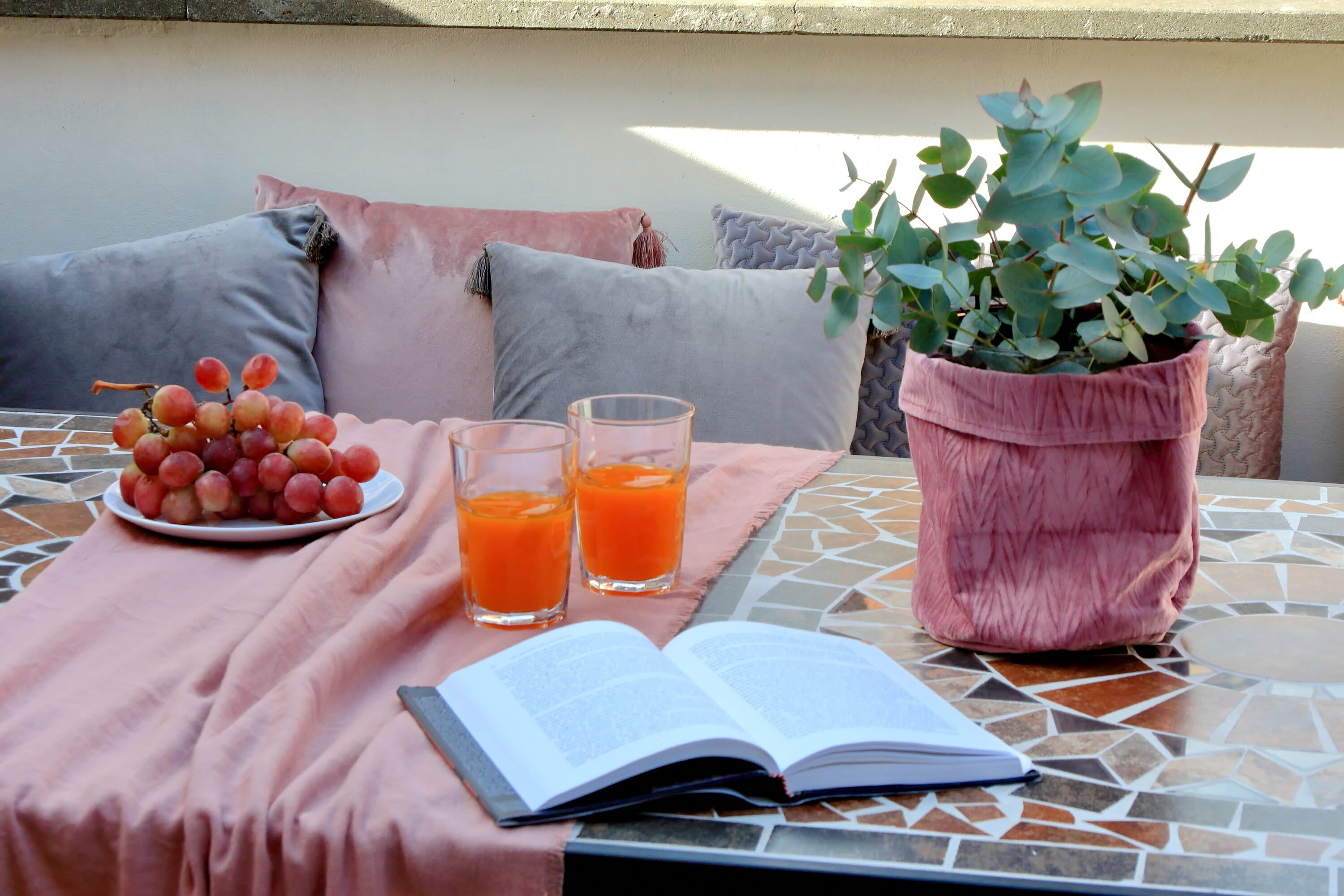 Et bord med en bog, en tallerken med druer og to glas appelsinjuice.