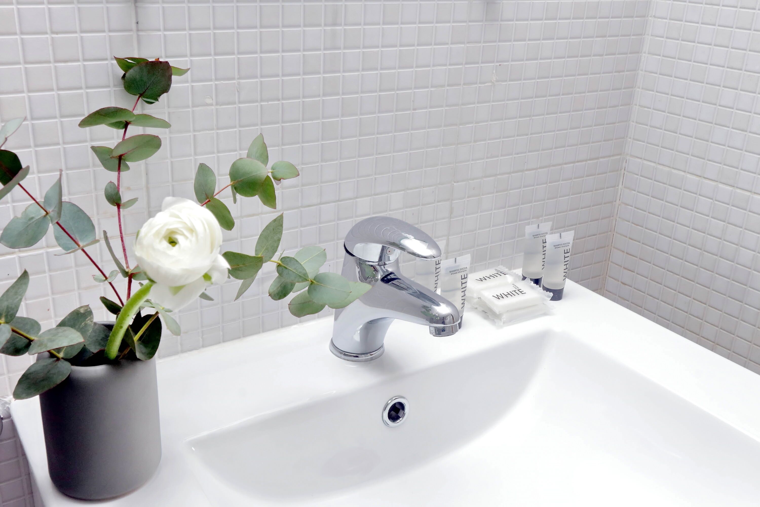 A bathroom with a white sink, a modern faucet, and a potted plant with green leaves and a white flower.