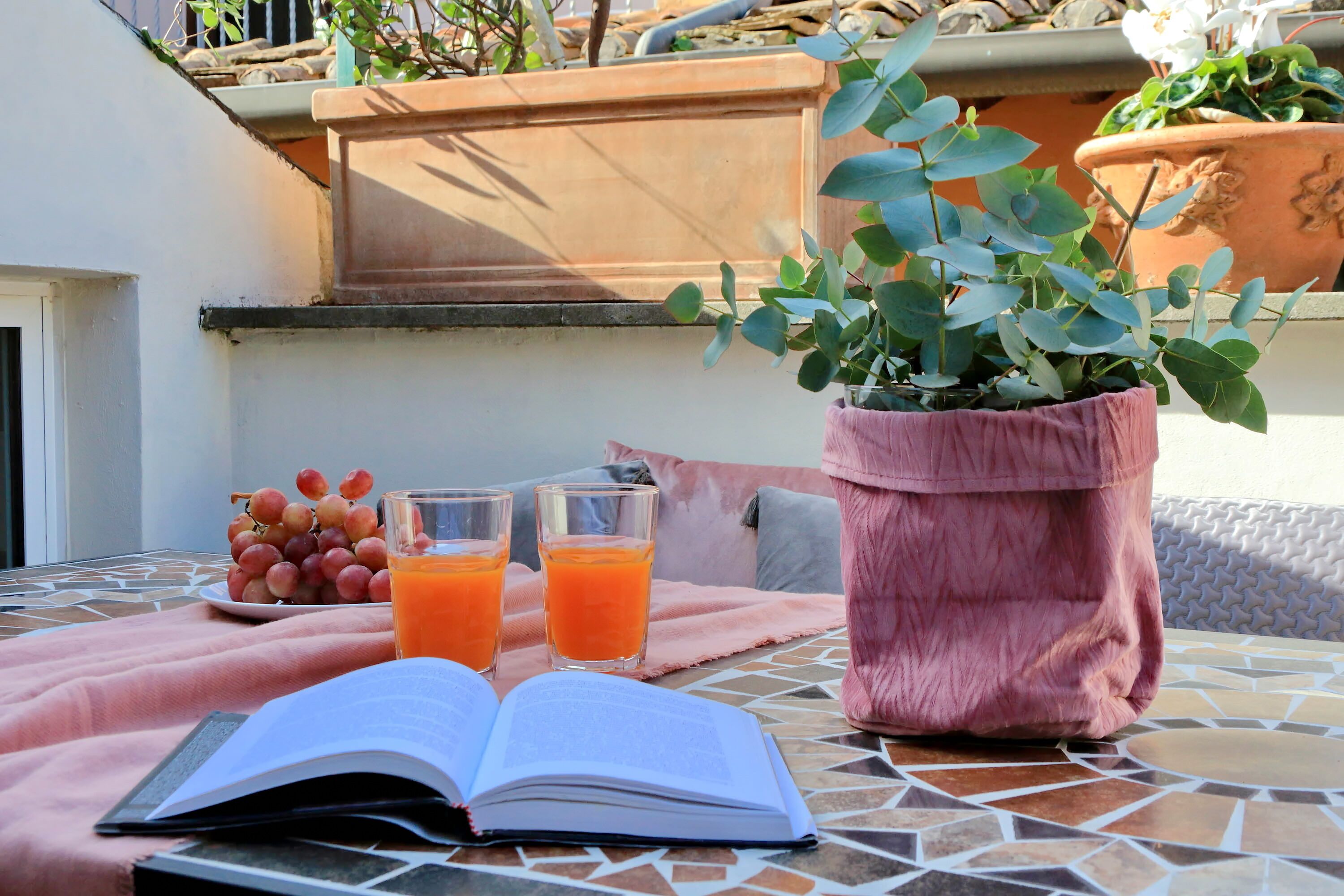 Una mesa con un libro, un plato de uvas y dos vasos de jugo de naranja.