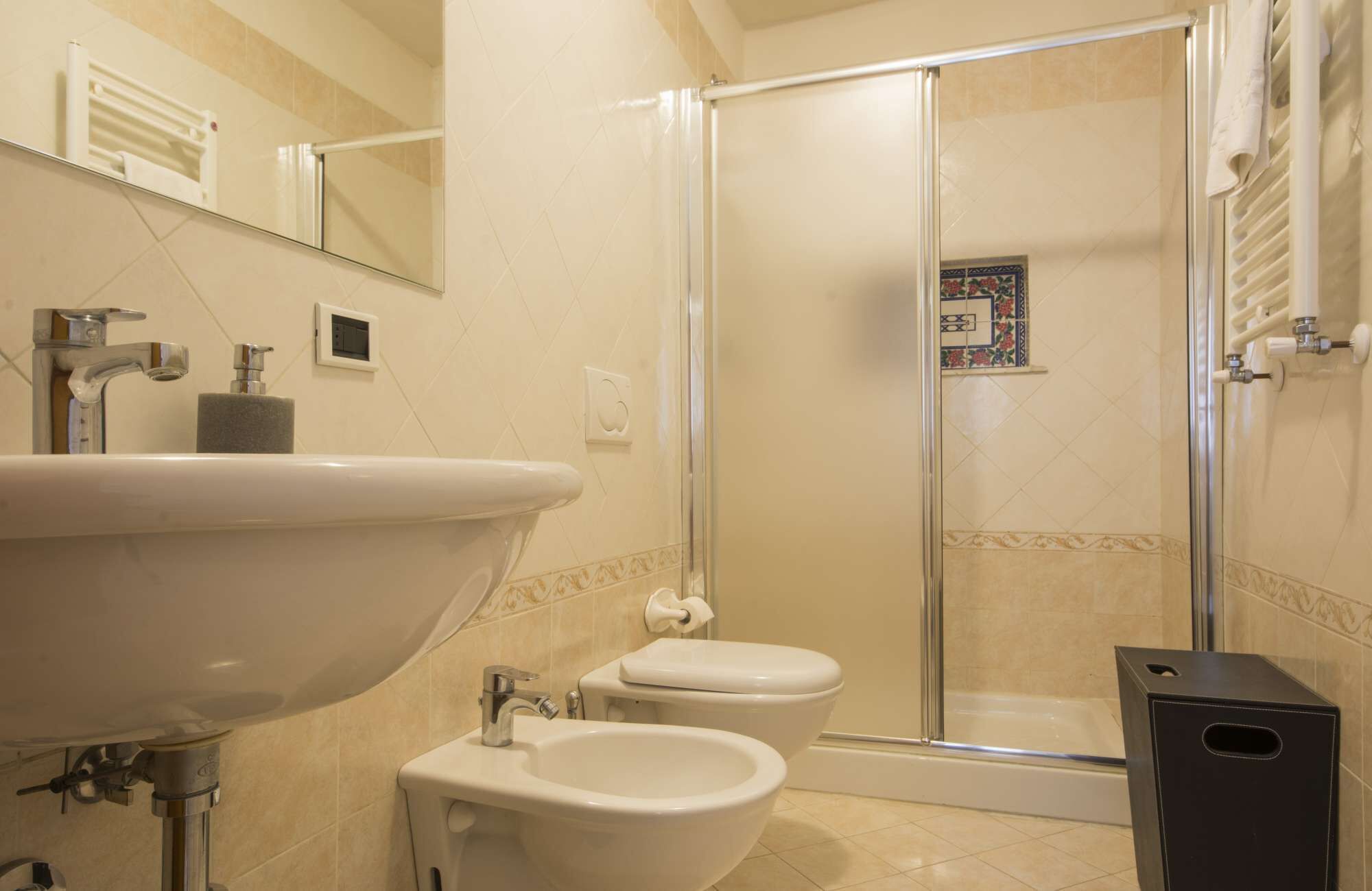 Shower, hair dryer, bidet, towels