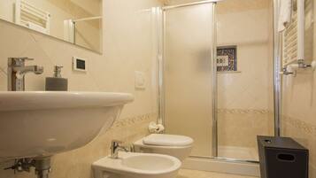 Shower, hair dryer, bidet, towels