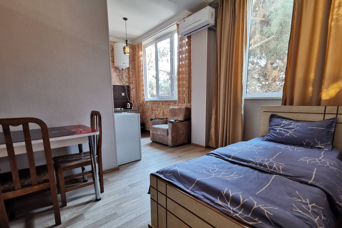 Une chambre comprenant un lit, un bureau et une kitchenette.