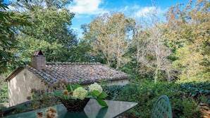 A rustic outdoor setting with a green table, a basket of flowers, and a metal chair. - Casa di Lilli (Castiglione d'Orcia)