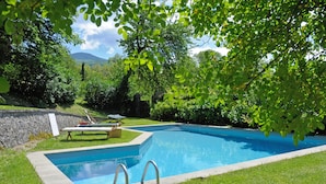 A rectangular swimming pool with a stone border, surrounded by well-maintained grass and trees. - Casa di Lilli (Castiglione d'Orcia)