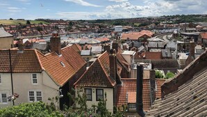A town with red-tiled roofs, a mix of residential and commercial buildings, and a marina in the background. - The Little Angel (Whitby)