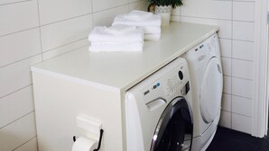 A laundry area with a washing machine, a cabinet above, and a small plant on the counter.