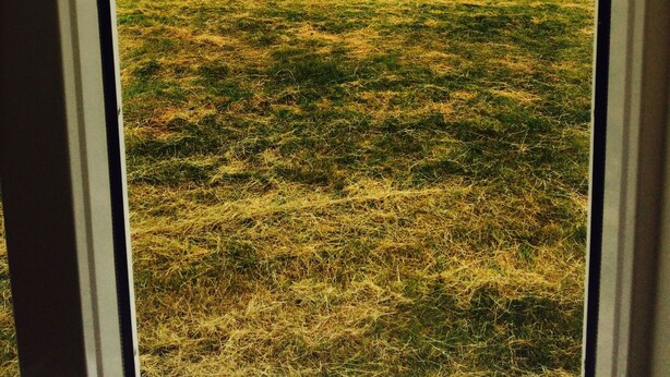 A view through a window of a grassy field with a small building in the distance.