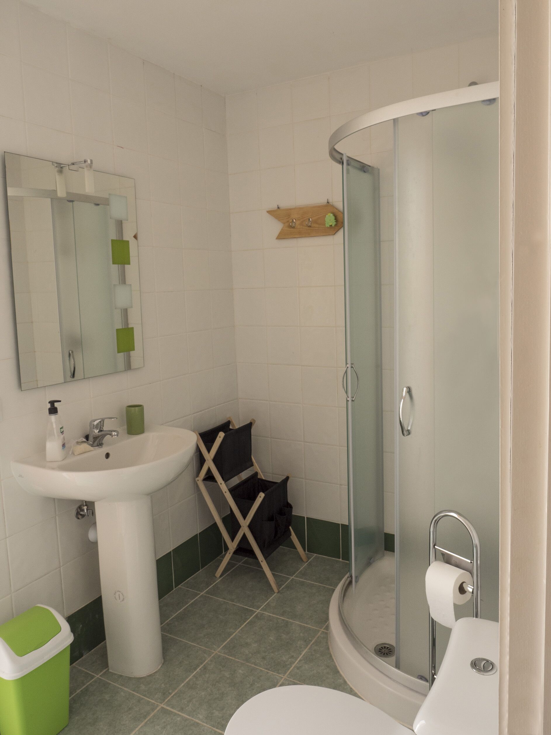 A bathroom with a sink, mirror, shower, and toilet.