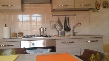 Fridge, oven, stovetop, cookware/dishes/utensils