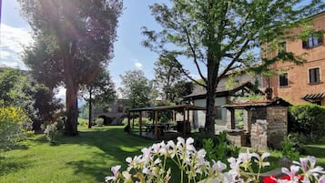 Giardino