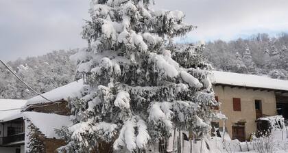 Airy studio with stunning view. Ideal for Family