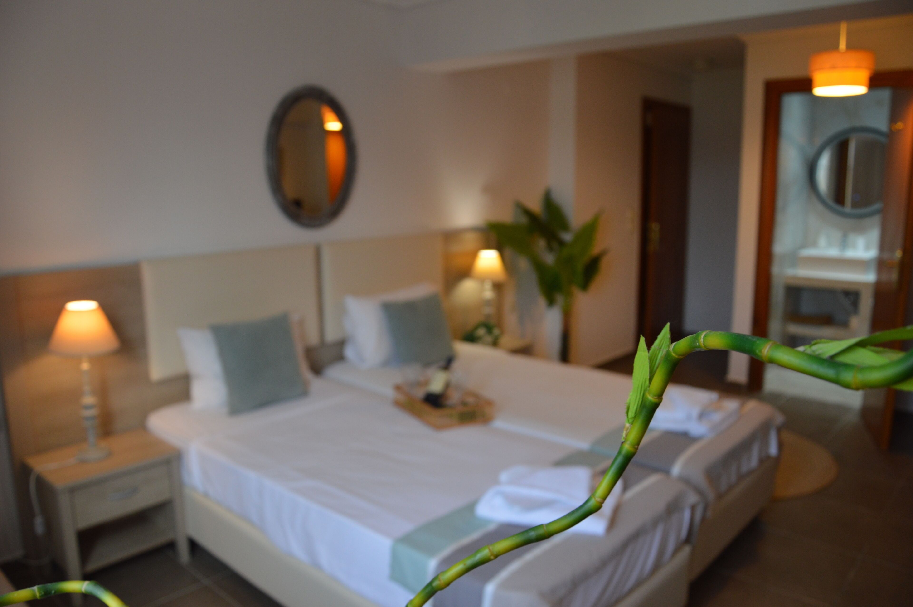 Habitación de hotel con cama, lámparas de noche, espejo y planta en maceta.