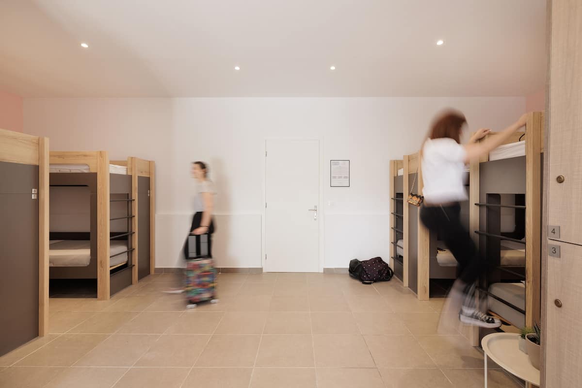 Un dormitorio con literas, una puerta blanca y una mesita con una planta.