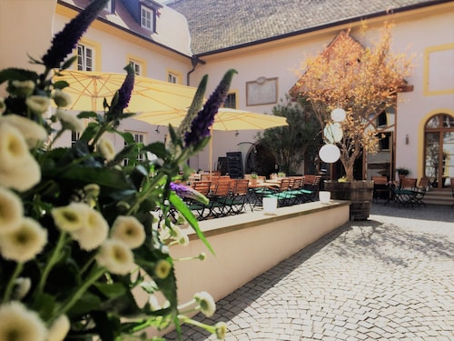Träumen umgeben von Weinbergen inmitten der schönen Pfalz